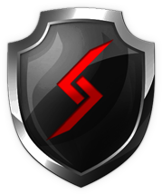 Digital Storm Shield Logo
